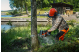 Купити Пила Husqvarna 242i KIT (АКБ+ЗП) (9708384-03). Офіційний магазин Хускварна Україна, фірмова гарантія з доставкою по Украіні