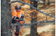 Купити Бензопила Husqvarna T435 (9669972-14). Офіційний магазин Хускварна Україна, фірмова гарантія з доставкою по Украіні