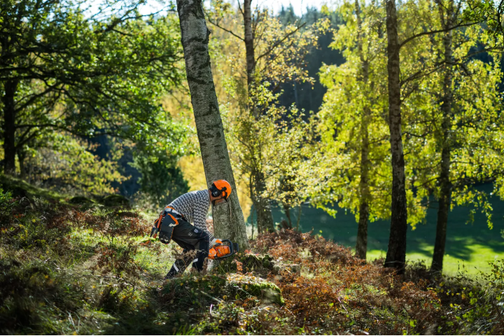 Купити Бензопила Husqvarna 450S (9707026-15). Офіційний магазин Хускварна Україна, фірмова гарантія з доставкою по Украіні
