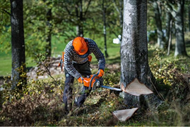 Купити Бензопила Husqvarna 450S (9707026-15). Офіційний магазин Хускварна Україна, фірмова гарантія з доставкою по Украіні