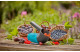 Купить Плодосъемник Gardena Combisystem BerryPicker для сбора ягод (17400-20.000.00). Официальный магазин Хускварна Украина, фирменная гарантия с доставкой по Украине.