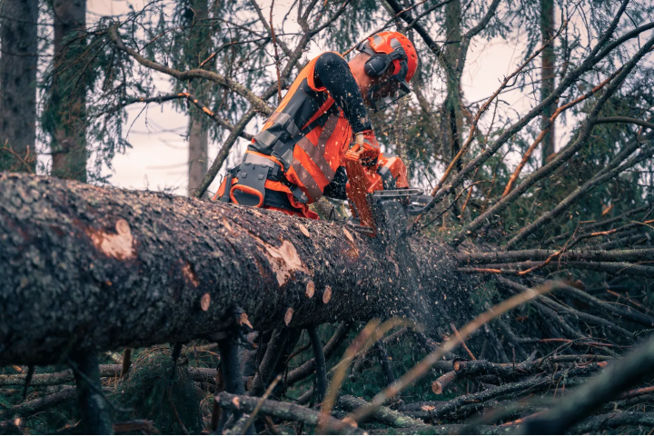 Купити Захисні навушники для шолома Husqvarna Functional, Arborist Spire Vent (5056653-25). Офіційний магазин Хускварна Україна, фірмова гарантія з доставкою по Украіні