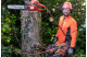 Купить Бензопила Husqvarna 545 II профессиональная (9676906-35). Официальный магазин Хускварна Украина, фирменная гарантия с доставкой по Украине.