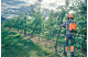 Купити Професійна акумуляторна пила Husqvarna 535iXP 1,45 кВт (9707165-14). Офіційний магазин Хускварна Україна, фірмова гарантія з доставкою по Украіні