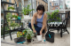 Купить Комплект ручных инструментов Gardena для балконных растений в кейсе (08970-20.000.00). Официальный магазин Хускварна Украина, фирменная гарантия с доставкой по Украине.