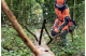 Купити Бензопила Husqvarna 550XP II (9676908-35). Офіційний магазин Хускварна Україна, фірмова гарантія з доставкою по Украіні
