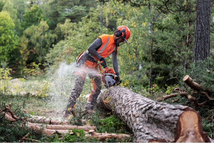 Купити Бензопила Husqvarna 550XP II (9676908-35). Офіційний магазин Хускварна Україна, фірмова гарантія з доставкою по Украіні