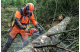 Купити Бензопила Husqvarna 550XP II (9676908-35). Офіційний магазин Хускварна Україна, фірмова гарантія з доставкою по Украіні