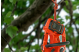 Купити Професійна одноручна акумуляторна пила Husqvarna T535iXP 1,45 кВт (9707164-12). Офіційний магазин Хускварна Україна, фірмова гарантія з доставкою по Украіні
