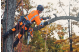 Купити Професійна одноручна акумуляторна пила Husqvarna T535iXP 1,45 кВт (9707164-12). Офіційний магазин Хускварна Україна, фірмова гарантія з доставкою по Украіні