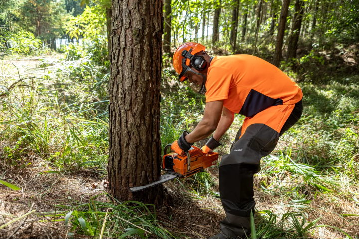 Купити Бензопила Husqvarna 61 (9670623-18). Офіційний магазин Хускварна Україна, фірмова гарантія з доставкою по Украіні