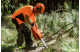 Купити Бензопила Husqvarna 61 (9670623-18). Офіційний магазин Хускварна Україна, фірмова гарантія з доставкою по Украіні