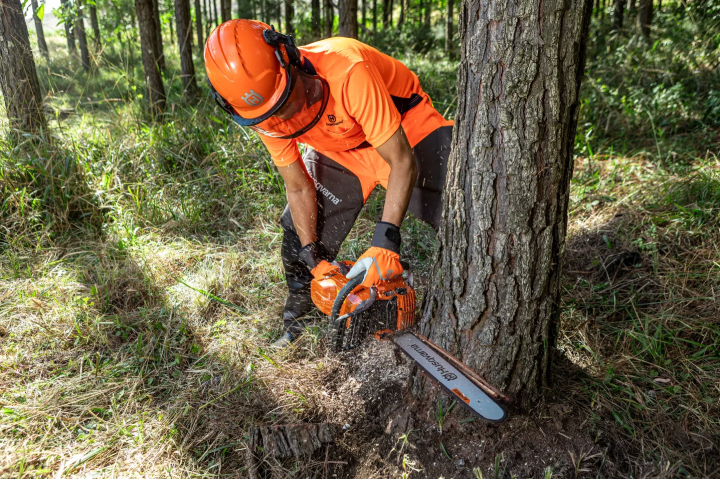 Купить Бензопила Husqvarna 365 (9707185-18). Официальный магазин Хускварна Украина, фирменная гарантия с доставкой по Украине.