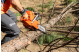 Купить Бензопила Husqvarna 365 (9707185-18). Официальный магазин Хускварна Украина, фирменная гарантия с доставкой по Украине.