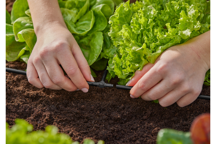 Купити З'єднувач Т-подібний Gardena Micro-Drip-System для шлангів 4,6 мм 10 шт. (13211-20.000.00). Офіційний магазин Хускварна Україна, фірмова гарантія з доставкою по Украіні