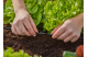 Купити З'єднувач Т-подібний Gardena Micro-Drip-System для шлангів 4,6 мм 10 шт. (13211-20.000.00). Офіційний магазин Хускварна Україна, фірмова гарантія з доставкою по Украіні