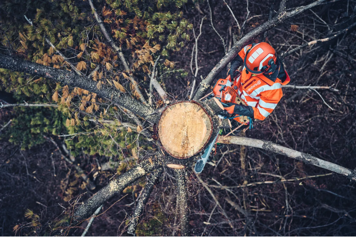 Купити Професійна бензопила Husqvarna 562XP II (9706635-18). Офіційний магазин Хускварна Україна, фірмова гарантія з доставкою по Украіні