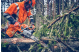 Купити Професійна бензопила Husqvarna 562XP II (9706635-18). Офіційний магазин Хускварна Україна, фірмова гарантія з доставкою по Украіні