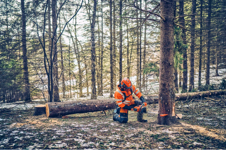 Купити Професійна бензопила Husqvarna 562XP II (9706635-18). Офіційний магазин Хускварна Україна, фірмова гарантія з доставкою по Украіні