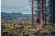 Купити Ланцюг X-CUT S93G 14"/35см 3/8" mini 1.3мм 52DL (5854042-52). Офіційний магазин Хускварна Україна, фірмова гарантія з доставкою по Украіні
