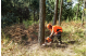 Купити Бензопила Husqvarna 272XP (9656816-18). Офіційний магазин Хускварна Україна, фірмова гарантія з доставкою по Украіні
