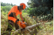 Купити Бензопила Husqvarna 272XP (9656816-18). Офіційний магазин Хускварна Україна, фірмова гарантія з доставкою по Украіні