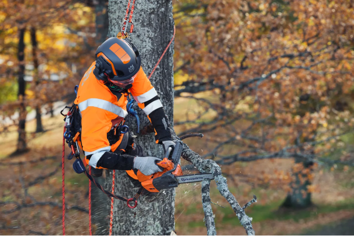 Купити Бензопила Husqvarna T525 (9707375-10). Офіційний магазин Хускварна Україна, фірмова гарантія з доставкою по Украіні