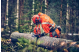 Купити Ланцюг Husqvarna X-CUT C33, 18"/45см, 0.325", 1.3мм, 72DL (5856411-72). Офіційний магазин Хускварна Україна, фірмова гарантія з доставкою по Украіні
