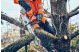 Купити Професійна одноручна акумуляторна пила Husqvarna T542iXP 1,8кВт (9706468-14). Офіційний магазин Хускварна Україна, фірмова гарантія з доставкою по Украіні