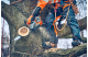 Купити Професійна одноручна акумуляторна пила Husqvarna T542iXP 1,8кВт (9706468-14). Офіційний магазин Хускварна Україна, фірмова гарантія з доставкою по Украіні