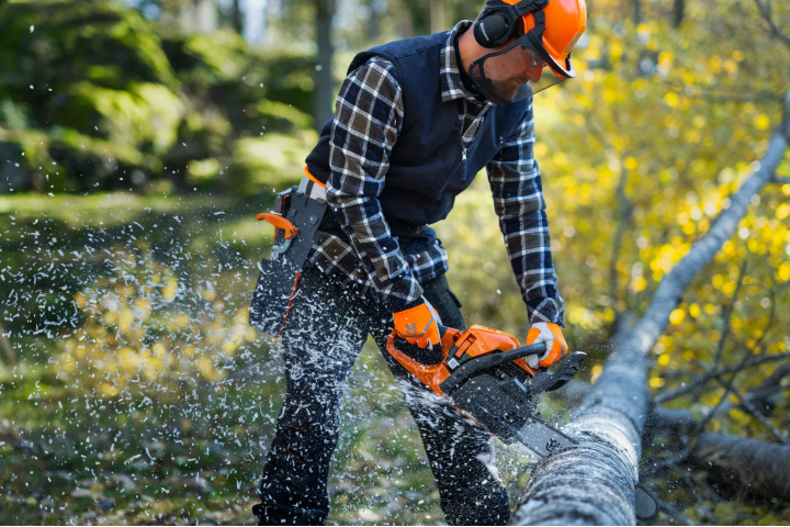 Купити Бензопила Husqvarna 445S (9707019-15). Офіційний магазин Хускварна Україна, фірмова гарантія з доставкою по Украіні