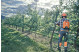 Купити Професійна аккумуляторна пила Husqvarna 535iXP (9678938-14). Офіційний магазин Хускварна Україна, фірмова гарантія з доставкою по Украіні