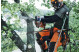Купити Бензопила Husqvarna T540XP II (9672875-14). Офіційний магазин Хускварна Україна, фірмова гарантія з доставкою по Украіні