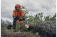 Купити Бензопила Husqvarna 540XP III (9705181-14). Офіційний магазин Хускварна Україна, фірмова гарантія з доставкою по Украіні