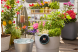 Купити Комплект Gardena AquaBloom для поливу у вихідні дні (13300-20.000.00). Офіційний магазин Хускварна Україна, фірмова гарантія з доставкою по Украіні