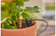 Купити Комплект поливу Gardena Micro-Drip-System Balcony Set на 15 рослин (13401-20.000.00). Офіційний магазин Хускварна Україна, фірмова гарантія з доставкою по Украіні