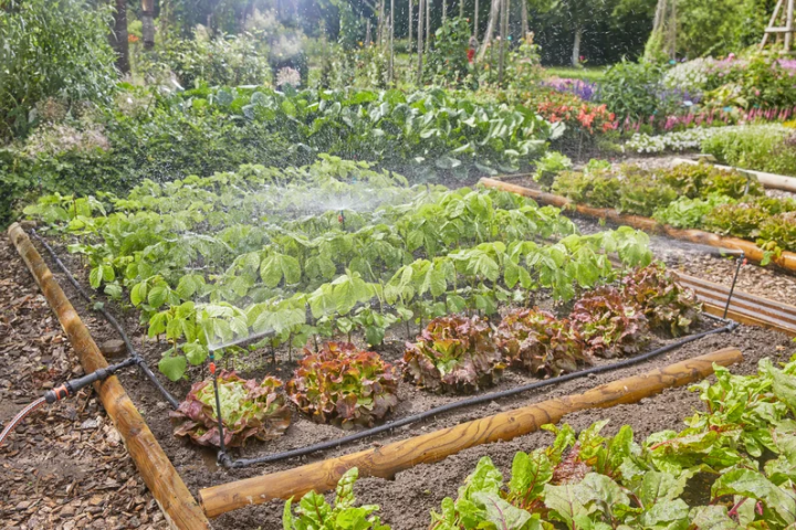 Купити Комплект поливу Gardena Micro-Drip-System для клумб і грядок до 60 м2 (13450-20.000.00). Офіційний магазин Хускварна Україна, фірмова гарантія з доставкою по Украіні