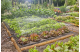 Купити Комплект поливу Gardena Micro-Drip-System для клумб і грядок до 60 м2 (13450-20.000.00). Офіційний магазин Хускварна Україна, фірмова гарантія з доставкою по Украіні