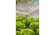 Купити Комплект поливу Gardena Micro-Drip-System для клумб і грядок до 60 м2 (13450-20.000.00). Офіційний магазин Хускварна Україна, фірмова гарантія з доставкою по Украіні