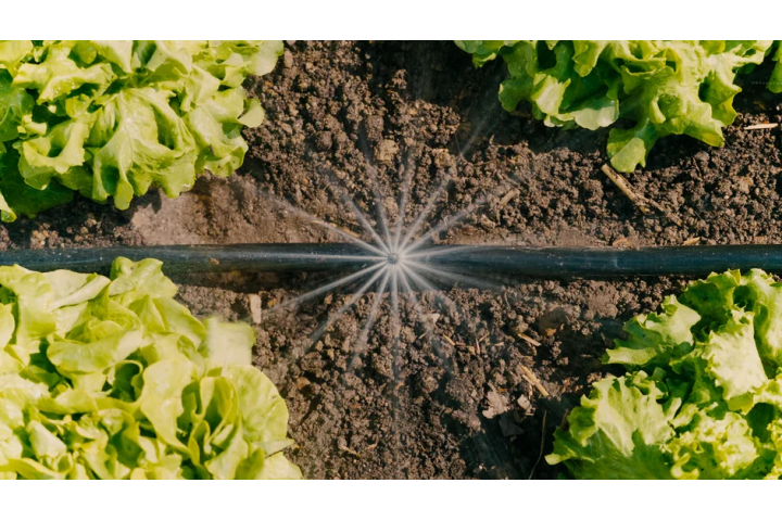 Купити Комплект поливу Gardena Micro-Drip-System для клумб і грядок до 60 м2 (13450-20.000.00). Офіційний магазин Хускварна Україна, фірмова гарантія з доставкою по Украіні