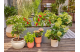 Купити Комплект поливу Gardena Micro-Drip-System Terrace Set на 30 рослин (13400-20.000.00). Офіційний магазин Хускварна Україна, фірмова гарантія з доставкою по Украіні