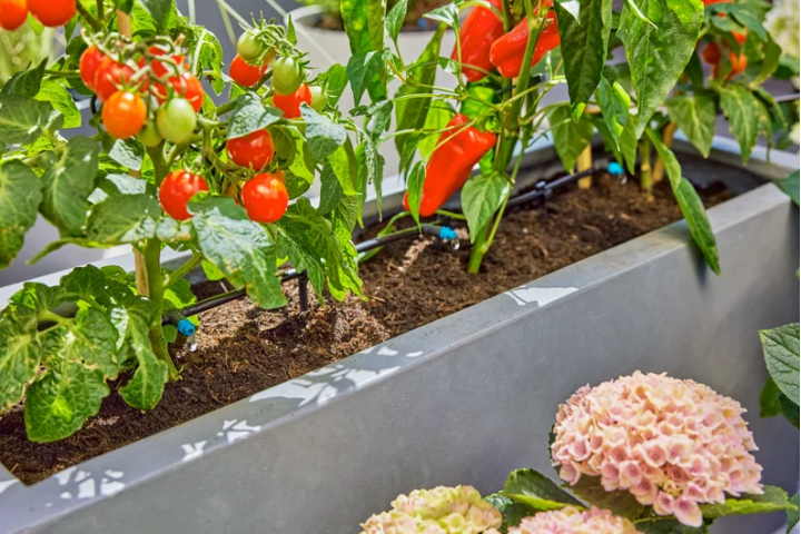 Купити Комплект поливу Gardena Micro-Drip-System Terrace Set на 30 рослин (13400-20.000.00). Офіційний магазин Хускварна Україна, фірмова гарантія з доставкою по Украіні