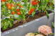 Купити Комплект поливу Gardena Micro-Drip-System Terrace Set на 30 рослин (13400-20.000.00). Офіційний магазин Хускварна Україна, фірмова гарантія з доставкою по Украіні