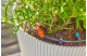 Купити Комплект поливу Gardena Micro-Drip-System Terrace Set на 30 рослин (13400-20.000.00). Офіційний магазин Хускварна Україна, фірмова гарантія з доставкою по Украіні