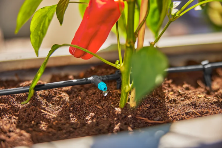 Купити Комплект поливу Gardena Micro-Drip-System Terrace Set на 30 рослин (13400-20.000.00). Офіційний магазин Хускварна Україна, фірмова гарантія з доставкою по Украіні