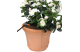 Купити Крапельниця Gardena внутрішня, 2 л/год, (комплект 10 од.) (08343-29.000.00). Офіційний магазин Хускварна Україна, фірмова гарантія з доставкою по Украіні