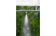Купити Мікродощувач системи охолодження туманом Gardena Micro Mist (комплект 3 од.) (13136-20.000.00). Офіційний магазин Хускварна Україна, фірмова гарантія з доставкою по Украіні