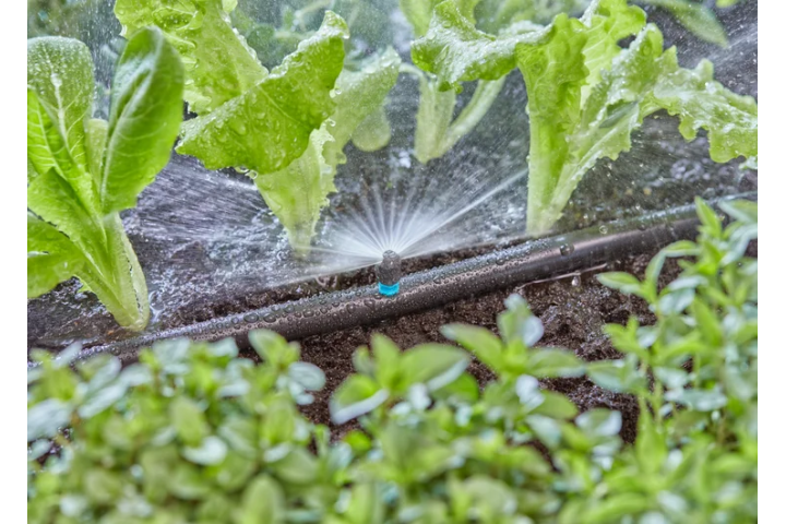 Купити Мікронасадка (дощувач) Gardena Micro-Drip-System секторна 180°, упаковка 5шт. (13321-20.000.00). Офіційний магазин Хускварна Україна, фірмова гарантія з доставкою по Украіні