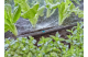 Купити Мікронасадка (дощувач) Gardena Micro-Drip-System секторна 180°, упаковка 5шт. (13321-20.000.00). Офіційний магазин Хускварна Україна, фірмова гарантія з доставкою по Украіні