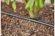 Купити Шланг Gardena Micro-Drip-System для мікрокапельного поливу, 13 мм (1/2"), 25 м (13503-20.000.00). Офіційний магазин Хускварна Україна, фірмова гарантія з доставкою по Украіні